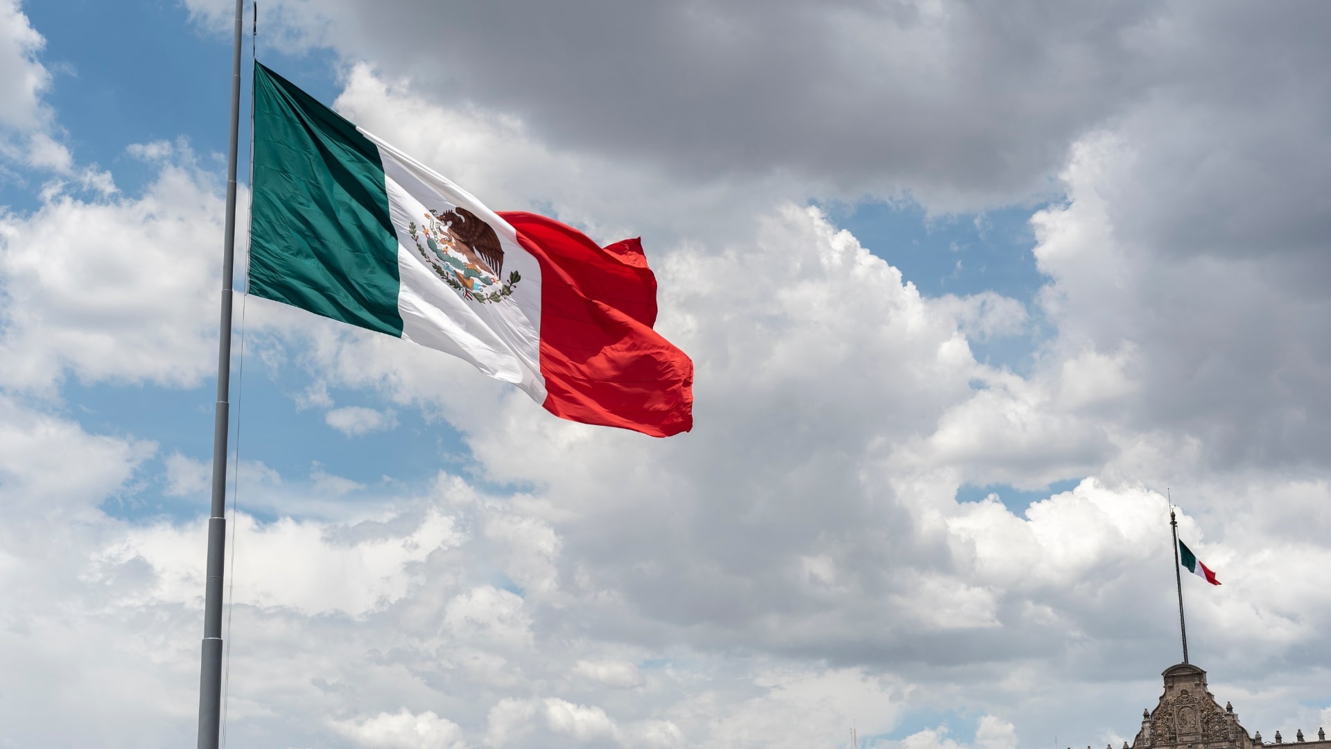 Historic milestone: Mexico adds animal welfare to its Constitution