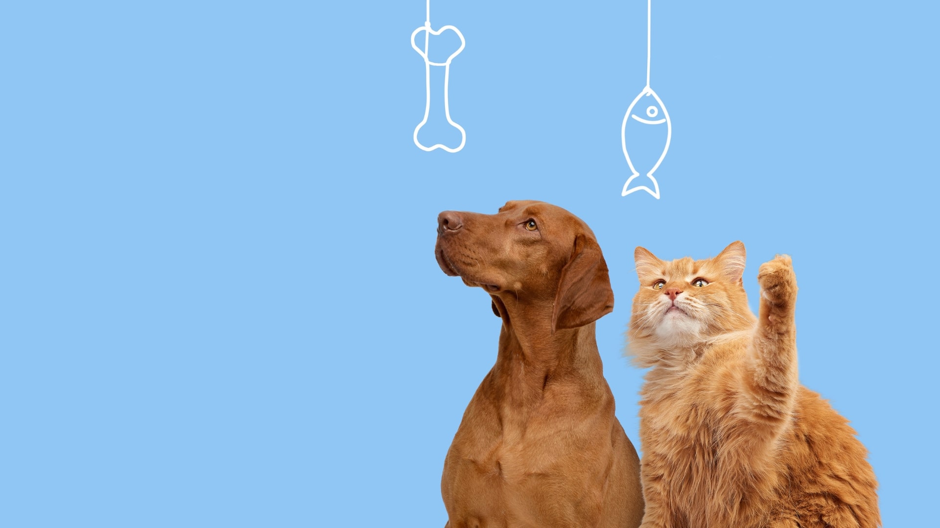 Tapping into the appeal of meal enhancers