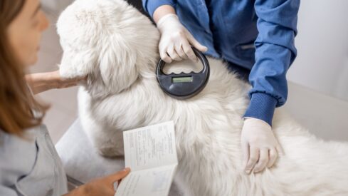 Almo Nature proposes amendments to EU pet traceability regulation