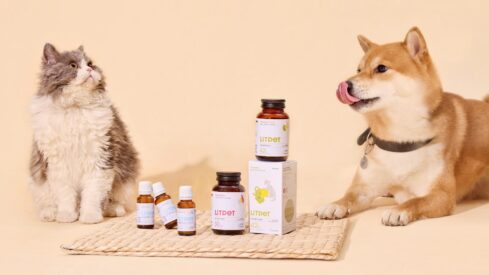 Integrating traditional Chinese medicine: the Asian secret for pet wellness