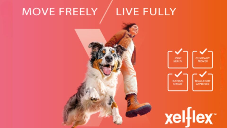 Xelflex®, the new bioactive ingredient for joint health.