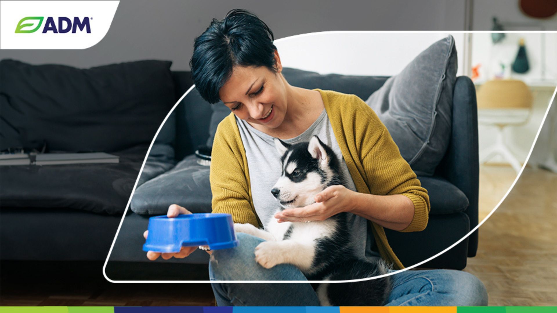 Science-driven pet premixes