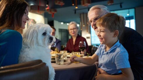 Are dogs becoming fussier eaters?