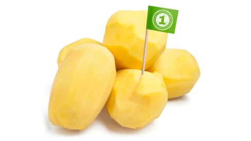 From field to formula: premium potato ingredients direct from the source