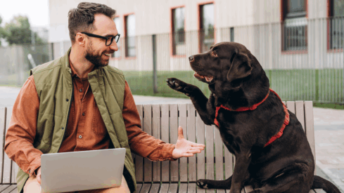 Round-up: The latest partnerships and joint ventures in the pet industry