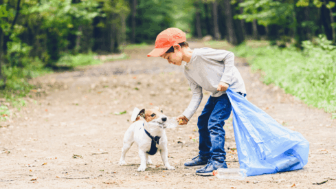 Sustainability in pet players (I): Mars, Partner in Pet Food and Petcurean