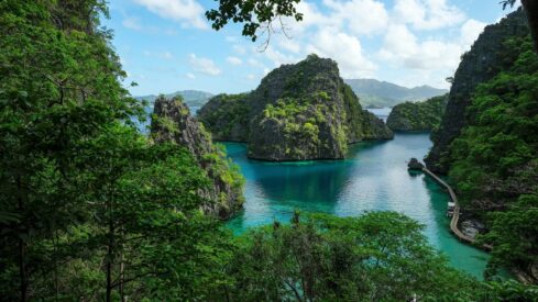 Country report: the Philippines – A growing force in Asia’s pet market