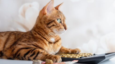 Financial snapshot: Mixed results for global pet retailers in H1 2025