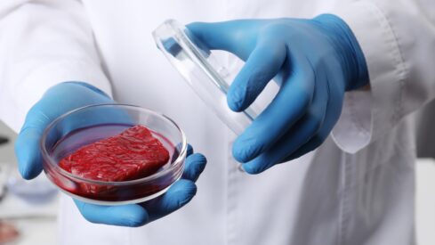 The future of lab-grown meat
