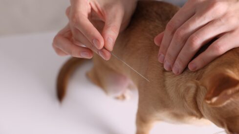 Alternative therapies move into the mainstream