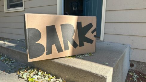 Pet airline, Amazon and DTC: the drivers of BARK’s latest financials