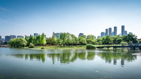 Championing pet-friendly design in urban environments