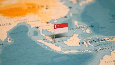 Market update: The latest developments in the Singaporean pet industry