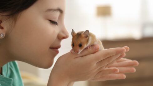 Birds and hamsters: small pets, big opportunities