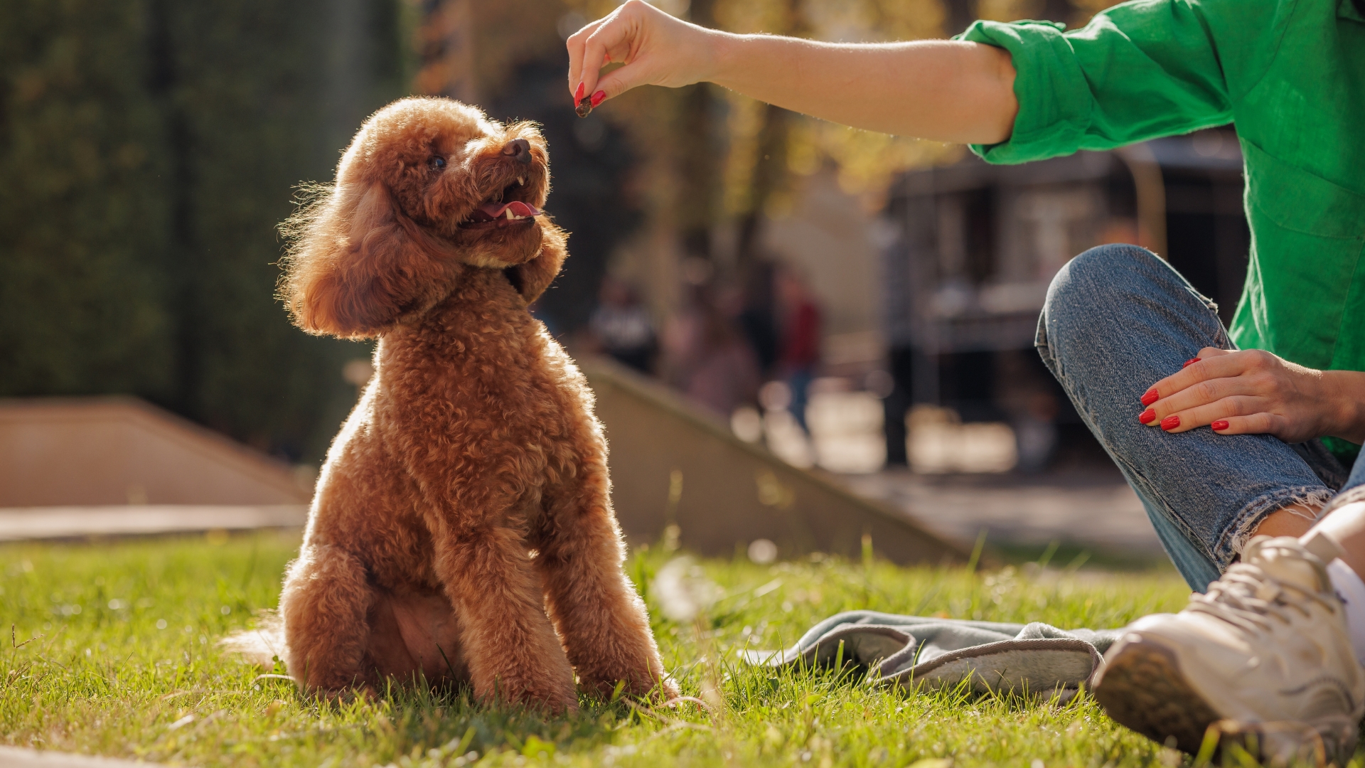 Science-led, brand-ready: Nutriliq’s take on pet supplements - GlobalPETS