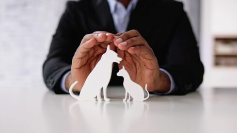 How rising insurance costs affect pets in the UK and US