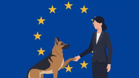 EU Council and Parliament agree on dog and cat welfare rules to take effect in 2028