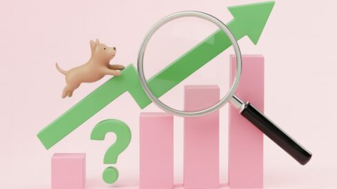 UK pet brands missing out on organic search opportunities, report finds