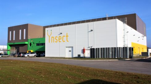 French court orders liquidation of Ÿnsect: what happens now