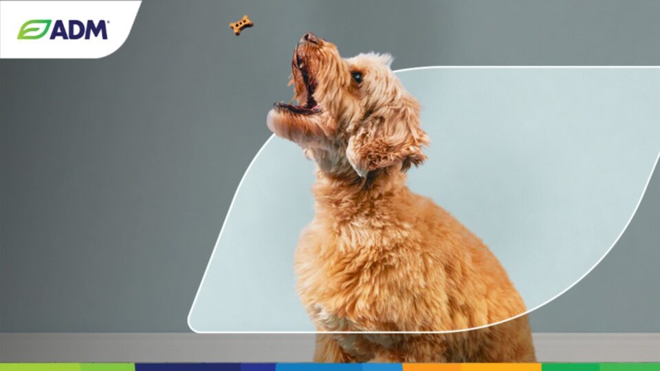 Turnkey pet supplements