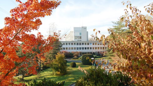 Swiss fragrance producer Givaudan expands into the pet market