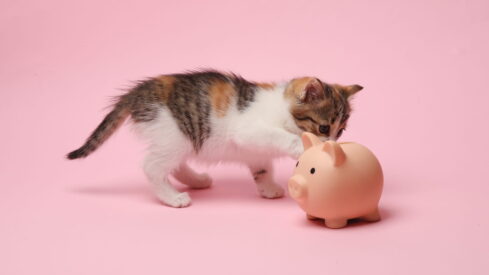 Australia: cost of caring for pets becoming a major barrier to becoming a pet parent