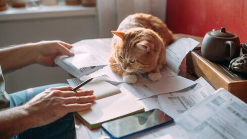 Inflation snapshot: Pet supplies and services rose in Europe and the US in November