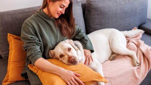 Pawternity leave becomes global workplace trend