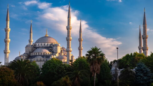 Turkey: Cat-centric pet economy presents opportunities