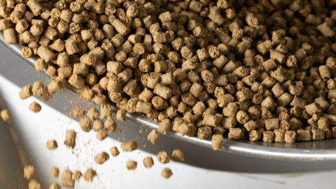 Oven-baked pet food: Why gentle processing is shaping the next phase of premium nutrition