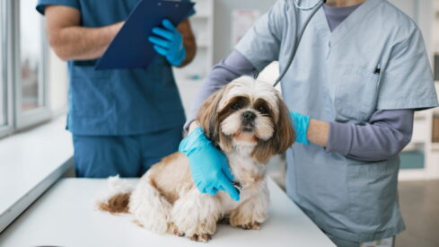 Greencross eyes IPO, targets $460M raise