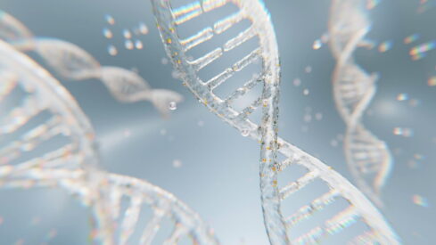 Why collagen is re-emerging as a strategic pet food ingredient