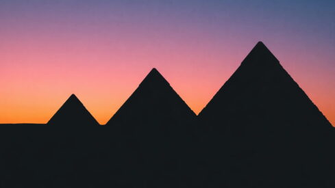 North African pet industry: A fast-growing region with untapped potential