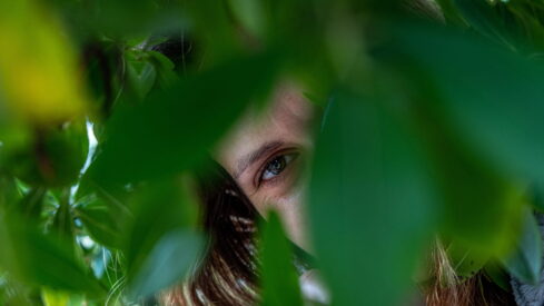 EU anti-greenwashing law: what you need to know