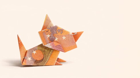 2015-2025: A decade of petflation