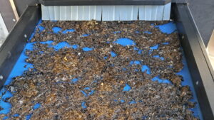 Seaweed leaves being upcycled for pet food.