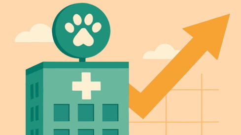 Pet health companies register surge in revenue in FY2025