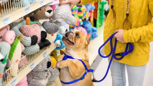 How is Petsense by Tractor Supply doing? An interview with SVP Neil Tenzer