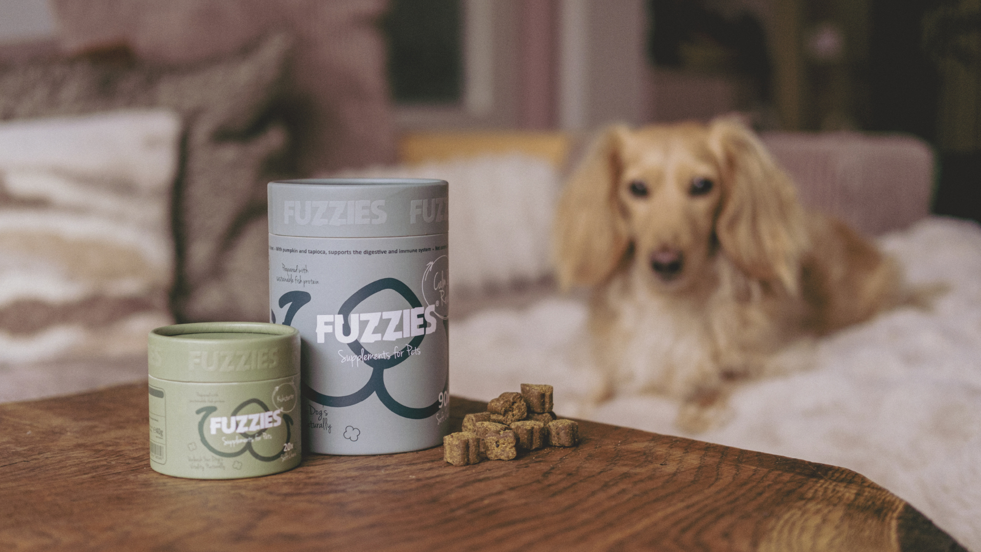 A dog’s health is Fuzzies' top priority