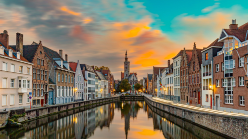 Belgium: Stability defines an evolving pet landscape