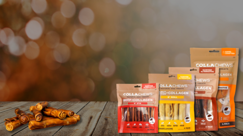 The collagen revolution: Why the future of functional chews is bioactive, not bleached