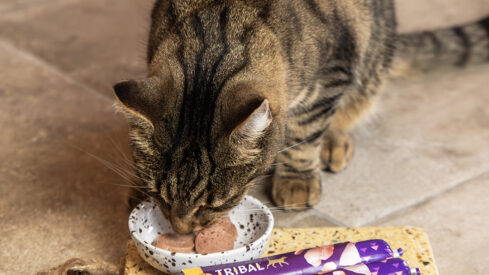 Tribal cat sausages: complete gourmet meals for cats
