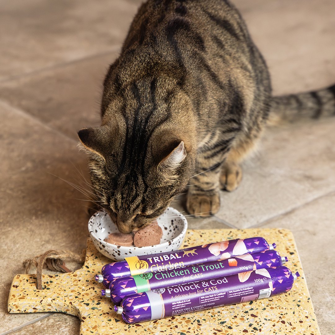 Tribal cat sausages: complete gourmet meals for cats