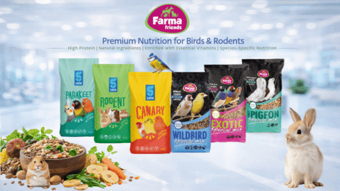 Premium bird & rodent mixes