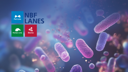 Biome-inspired solutions for next-generation pet nutrition