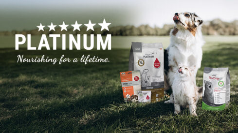 PLATINUM: Nourishing for a lifetime