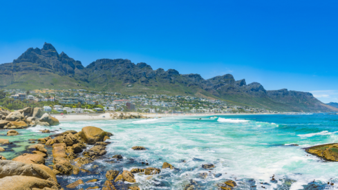 South Africa’s pet industry heats up with new acquisitions