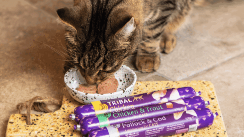Tribal cat sausages: complete gourmet meals for cats