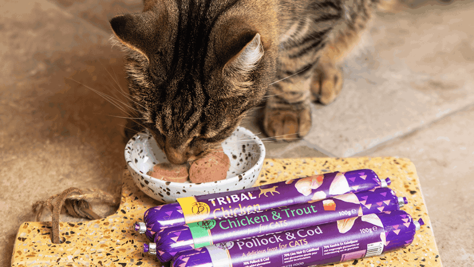 Tribal cat sausages: complete gourmet meals for cats