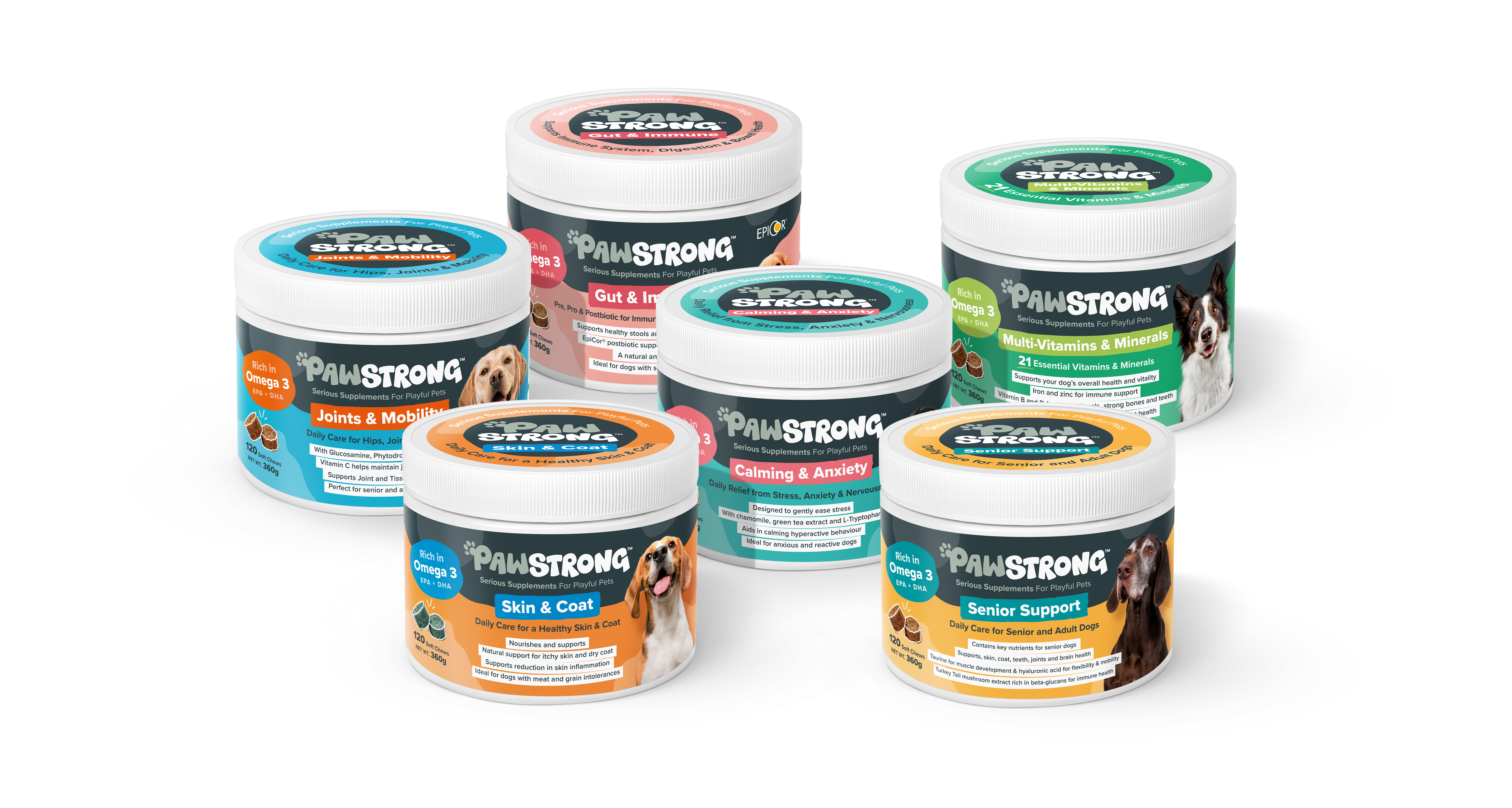 Serious supplements for playful pets